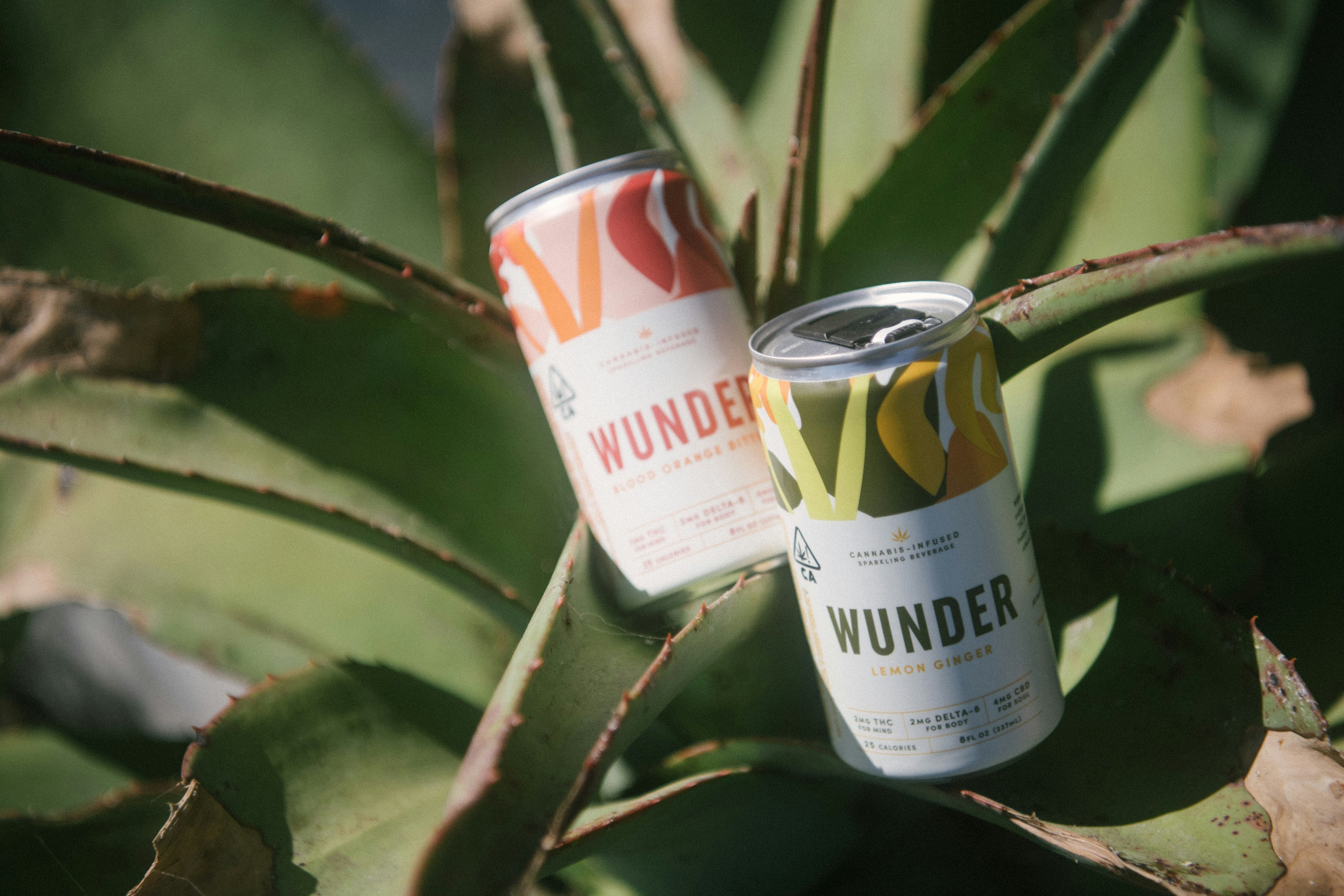 two white and orange can on green leaves