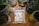 A package labeled 'ALT' is placed on a wooden table surrounded by various potted plants in ceramic and tin containers. The package indicates that it contains cannabis-infused liquid with THC content, and it has a minimalist design with a metallic finish.
