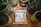 A package labeled 'ALT' is placed on a wooden table surrounded by various potted plants in ceramic and tin containers. The package indicates that it contains cannabis-infused liquid with THC content, and it has a minimalist design with a metallic finish.