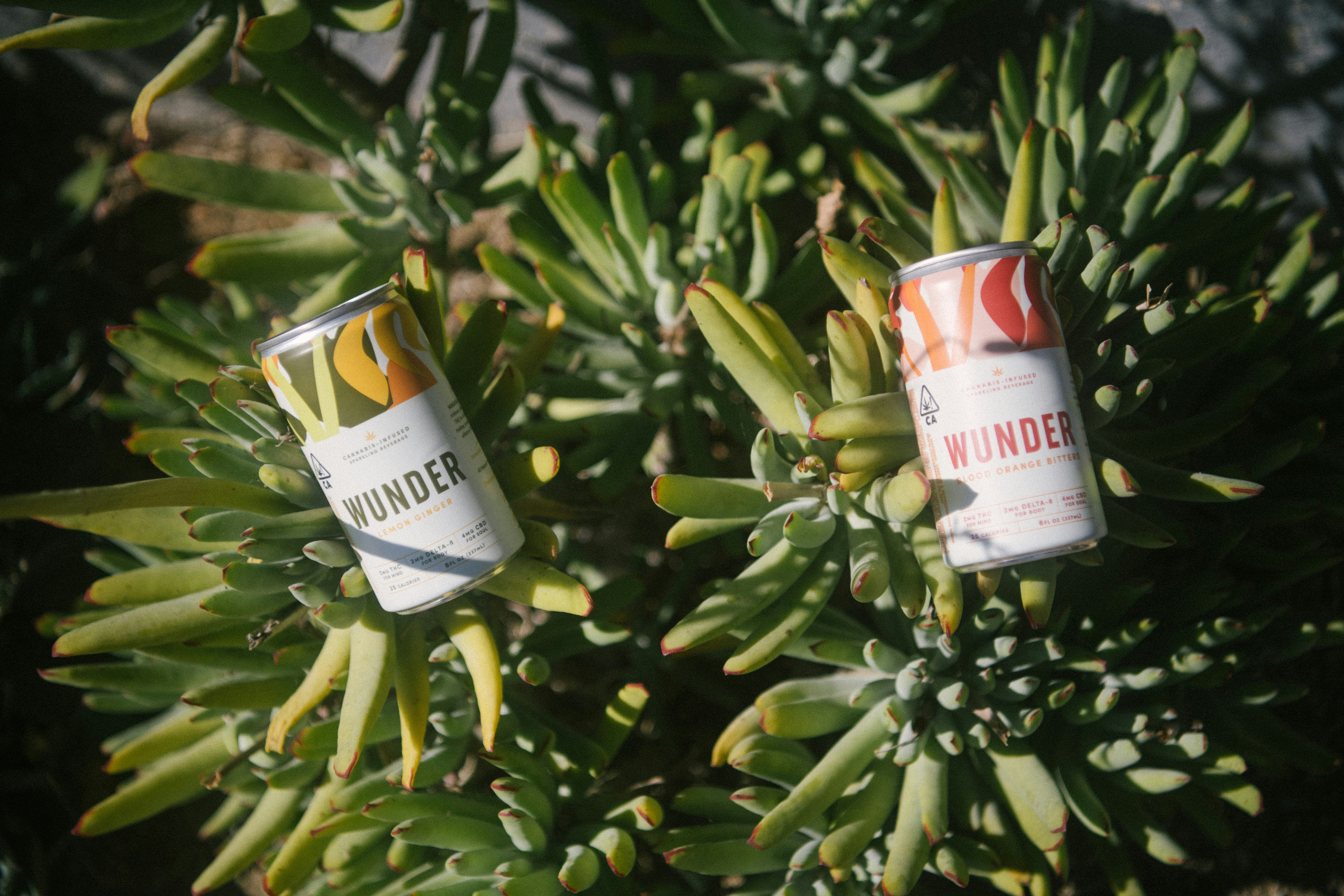 green leaves and white and red can