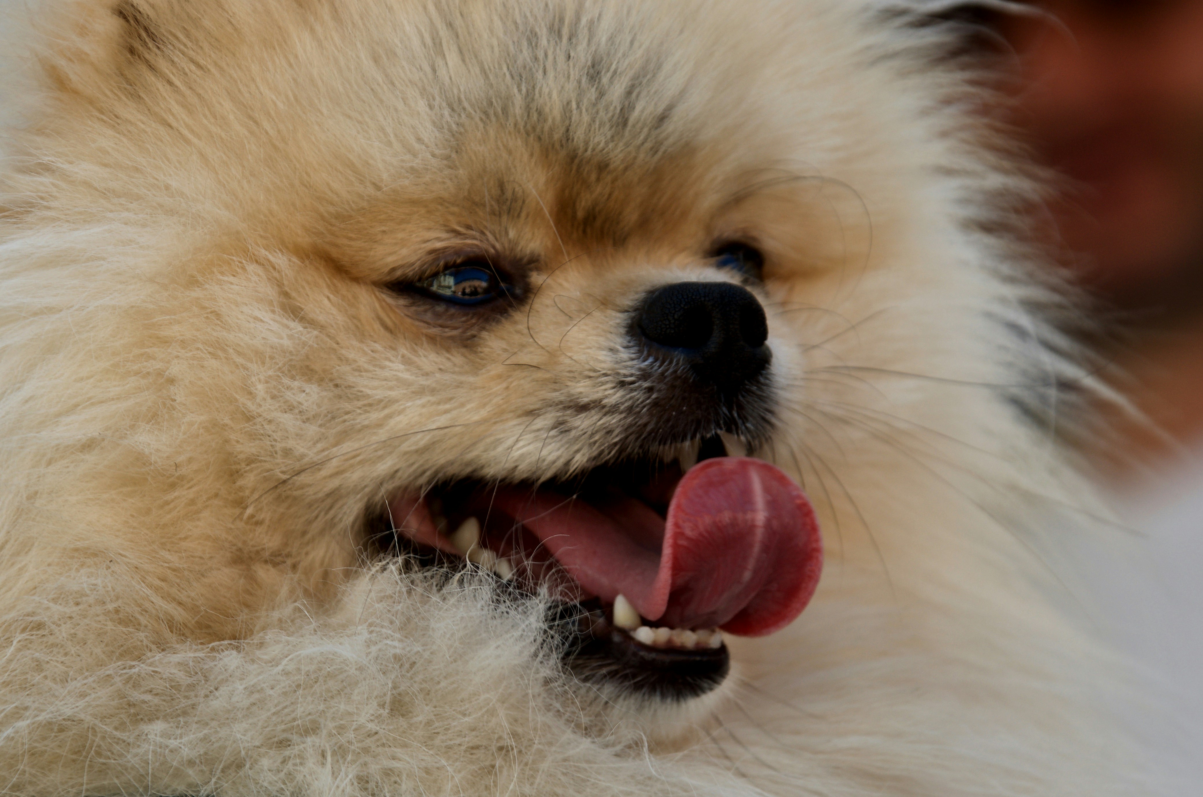 Photo by mariobeducci