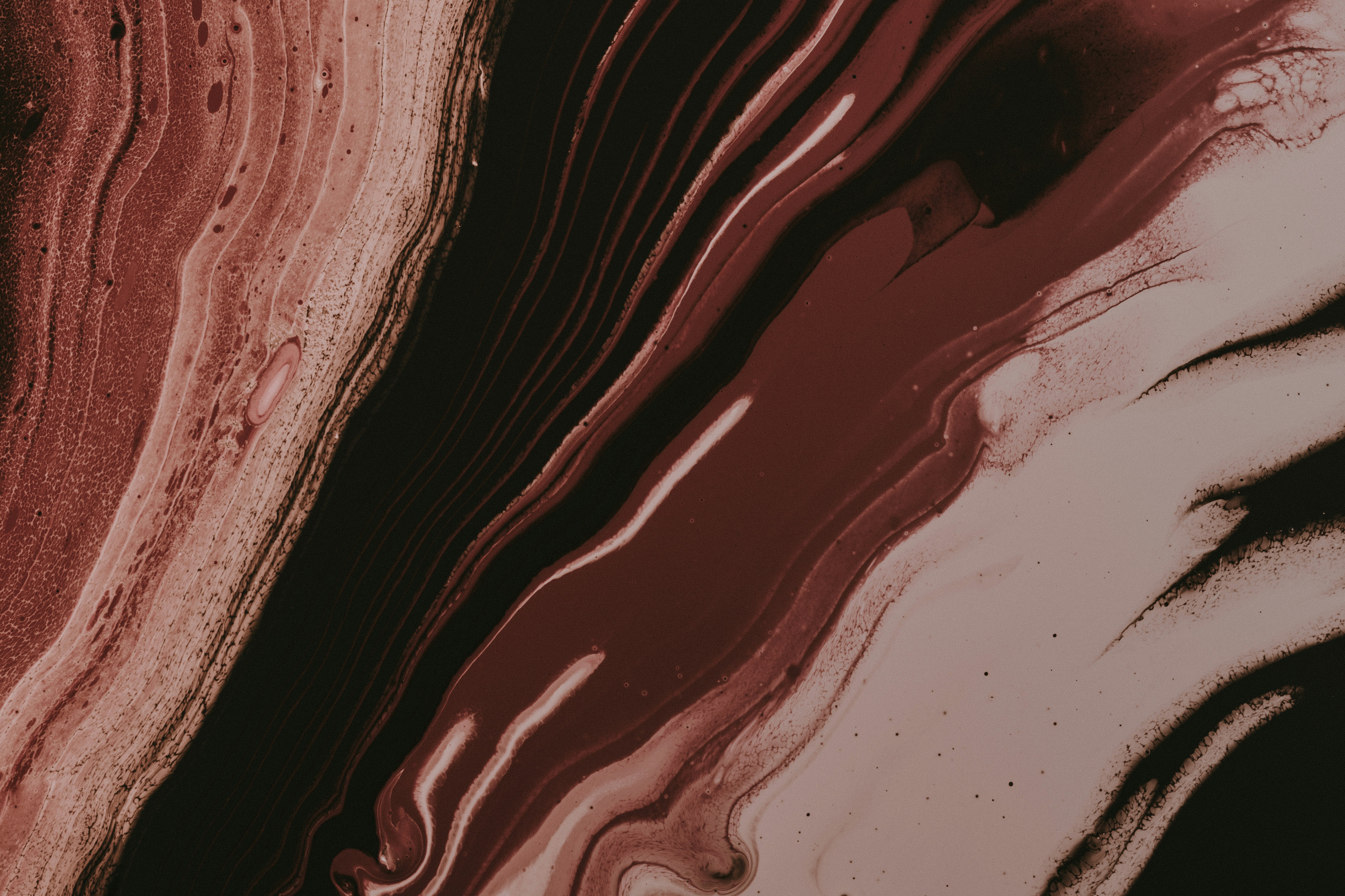 Photo by pawel_czerwinski