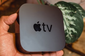 A person holds a black Apple TV box with the Apple logo and the word 'TV' on its surface. In the background, there is a green leafy plant partially out of focus.