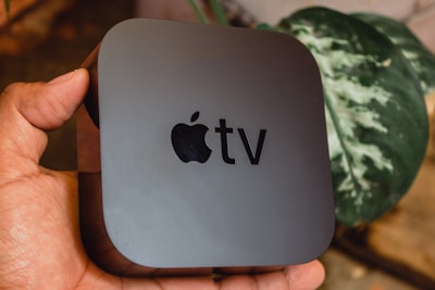 A person holds a black Apple TV box with the Apple logo and the word 'TV' on its surface. In the background, there is a green leafy plant partially out of focus.