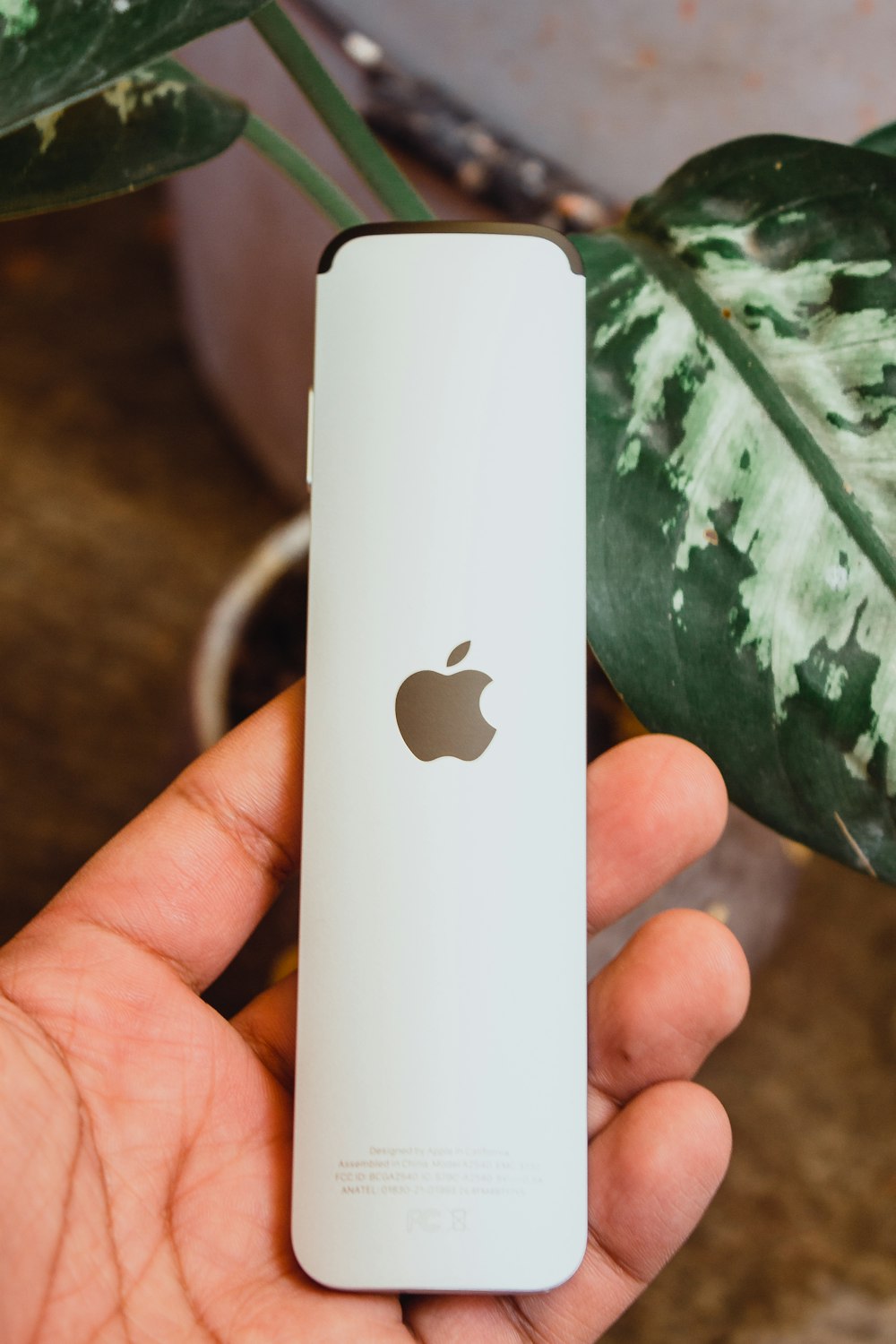 person holding white and green apple print disposable lighter