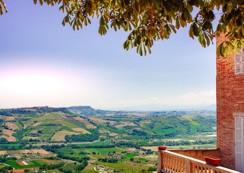 green grass field and mountains during daytime