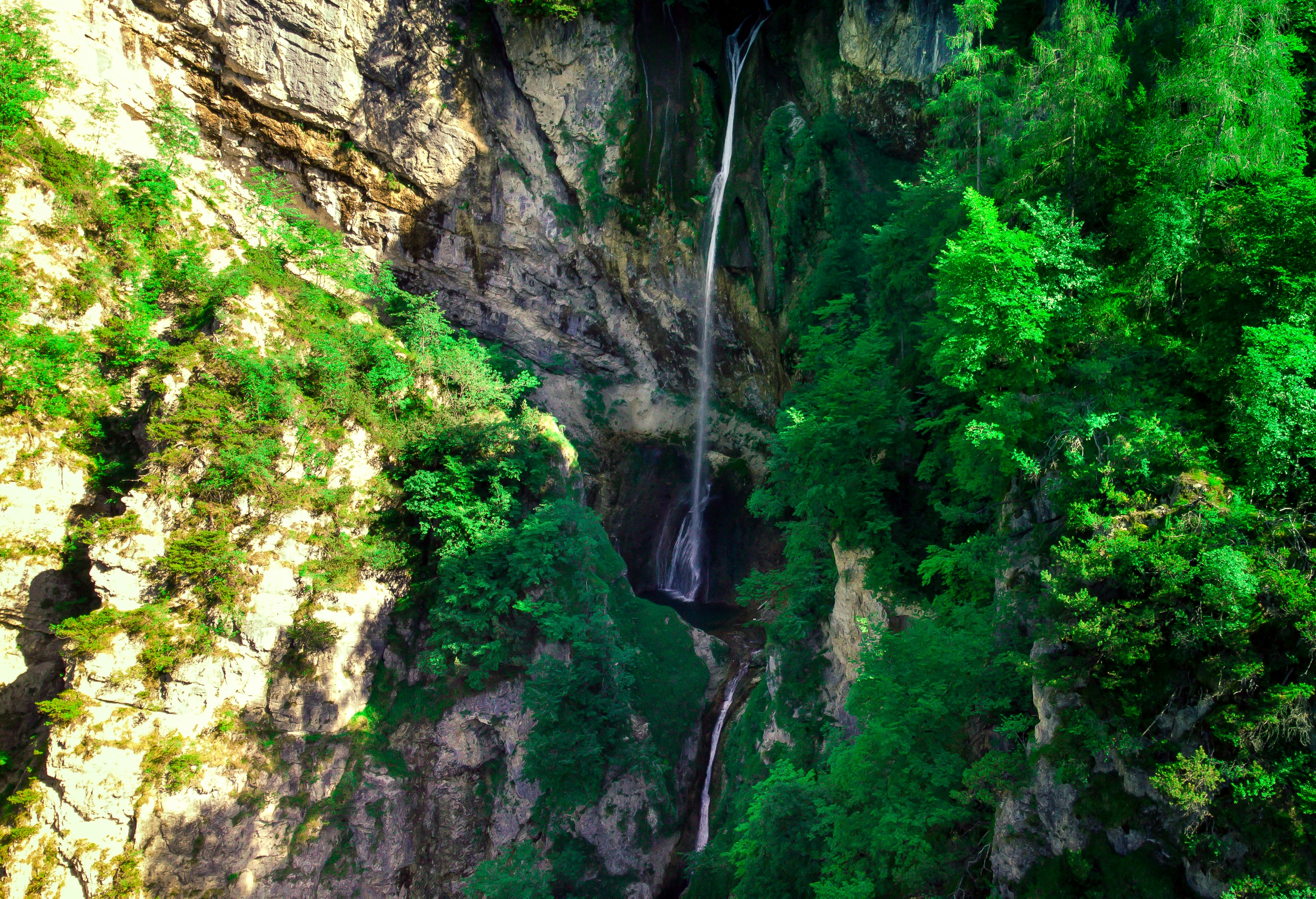 waterfalls in the middle of green trees