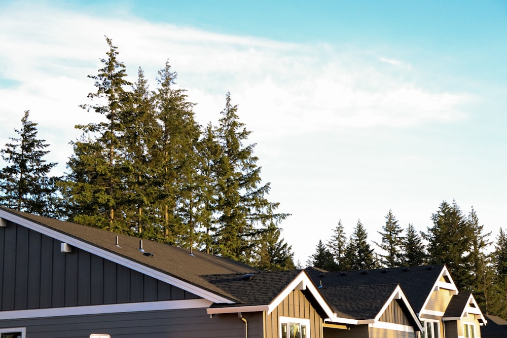 Braunes Holzhaus in der Nähe von grünen Bäumen unter blauem Himmel tagsüber