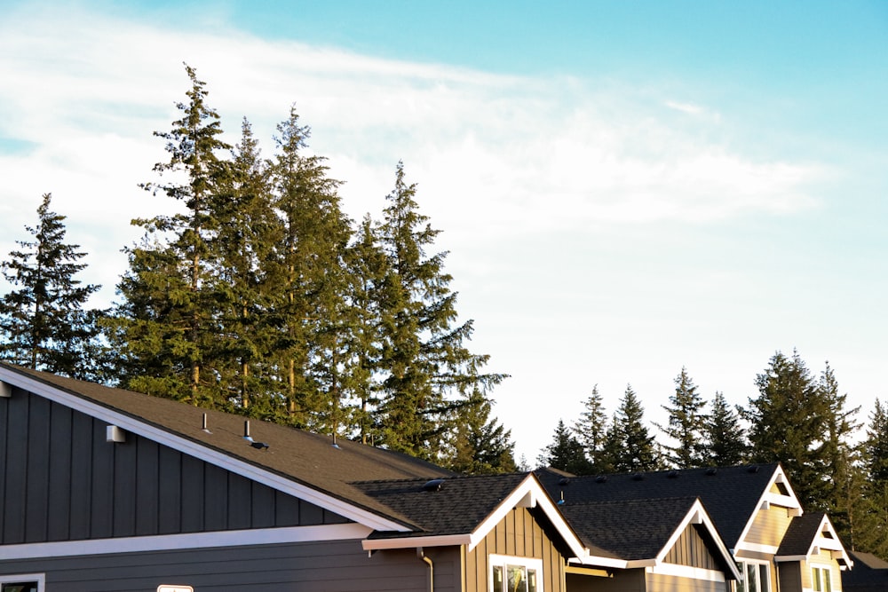 casa de madeira marrom perto de árvores verdes sob o céu azul durante o dia