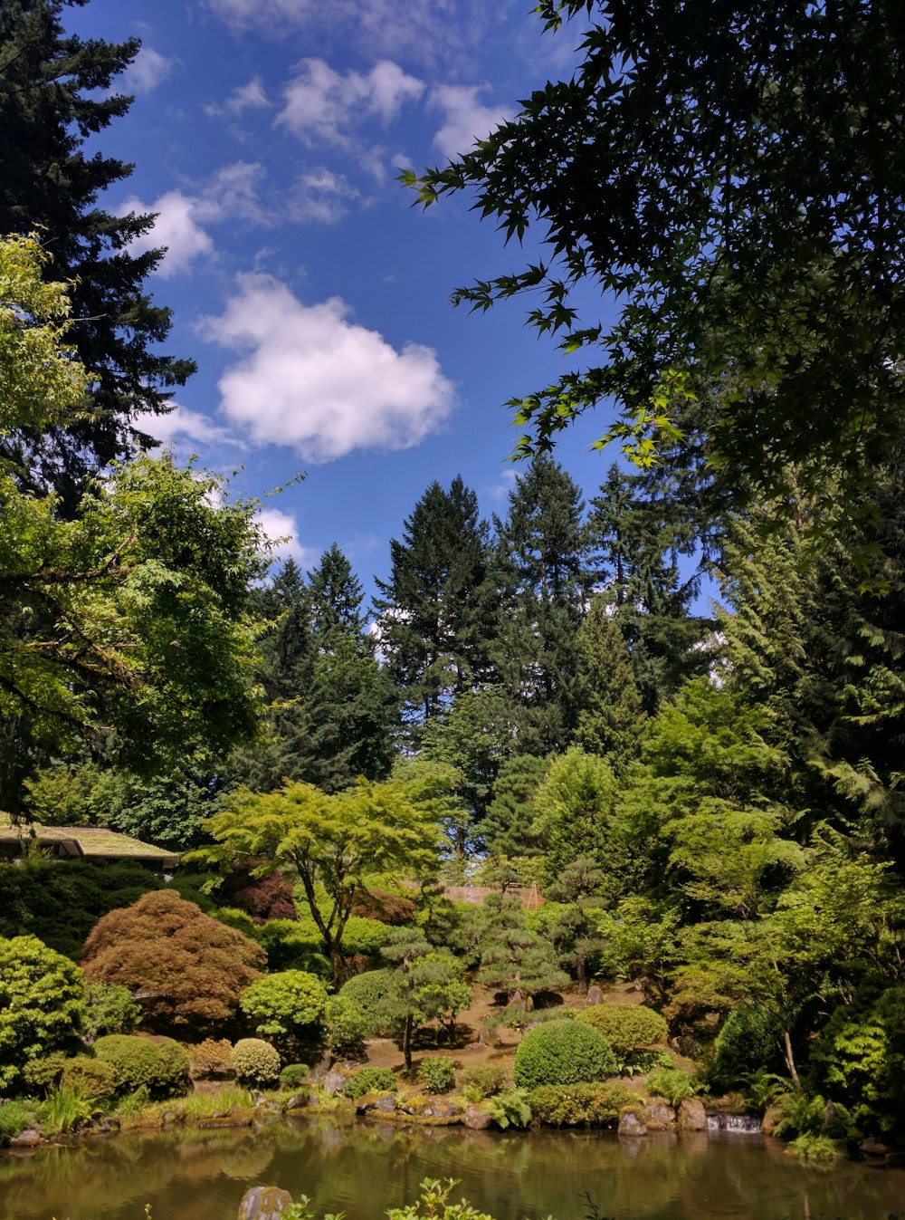 green trees under blue sky during daytime