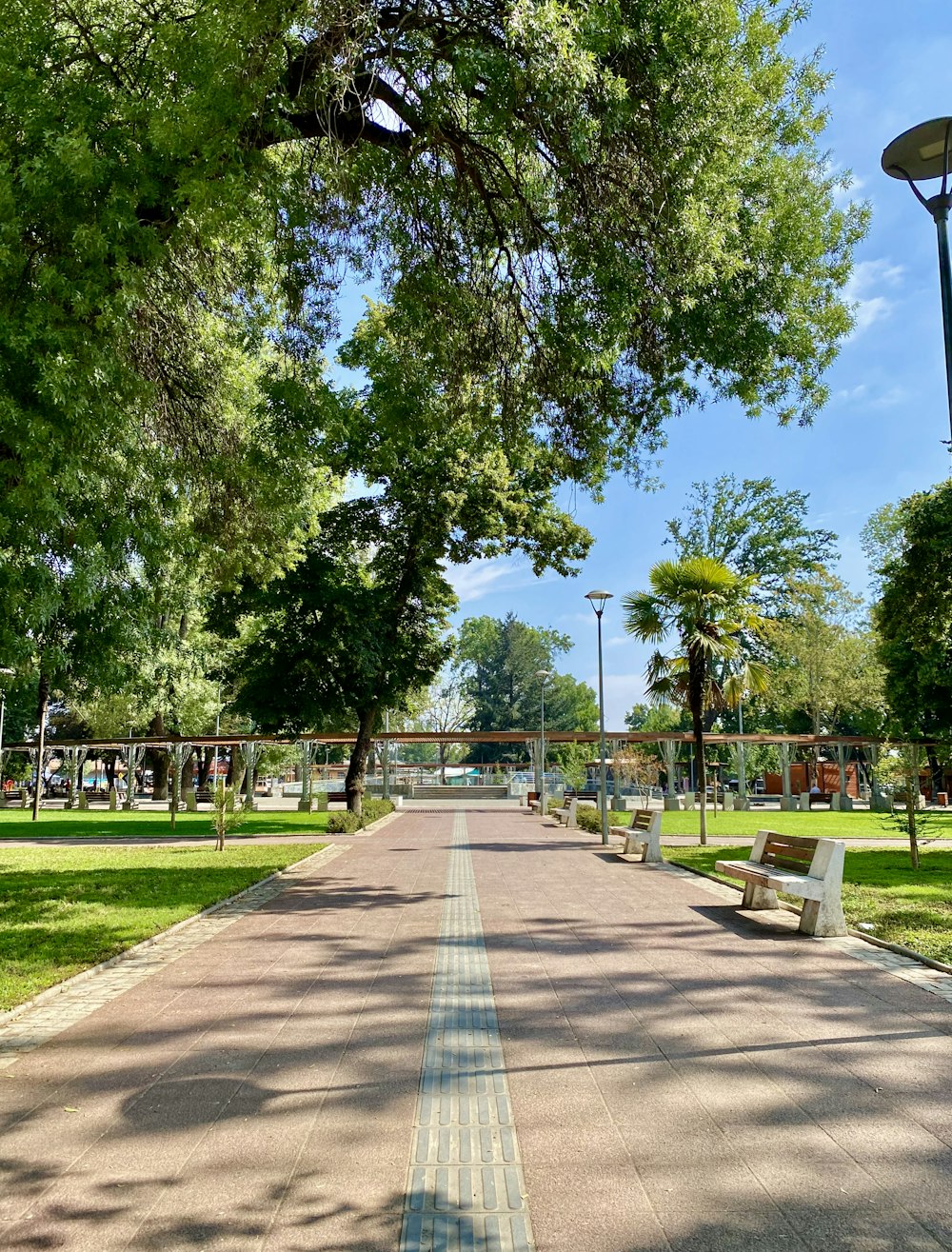 green grass field with trees during daytime