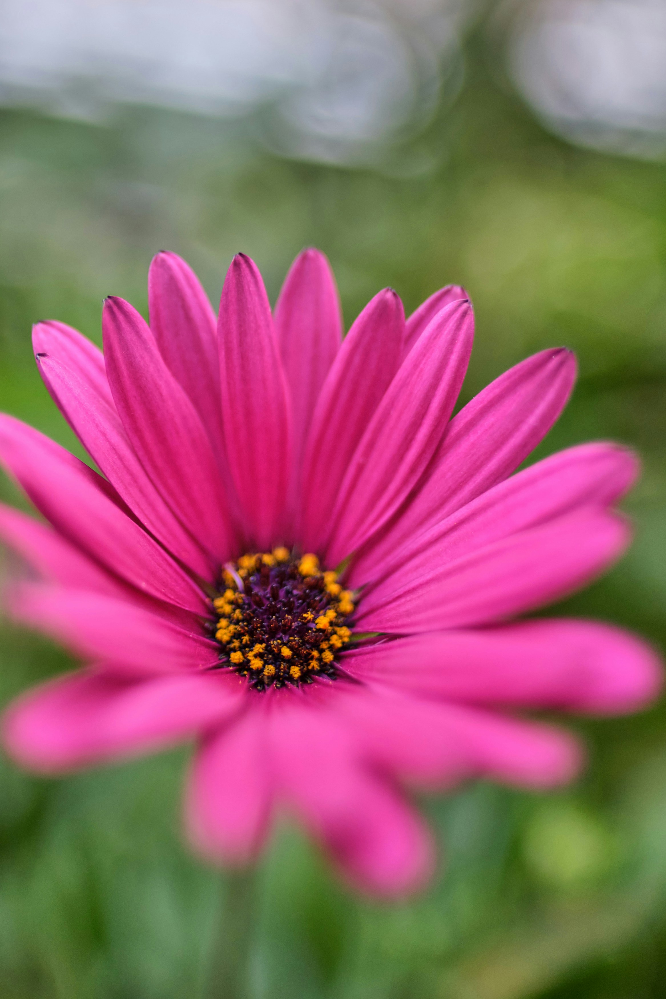 Photo by marcus_ganahl