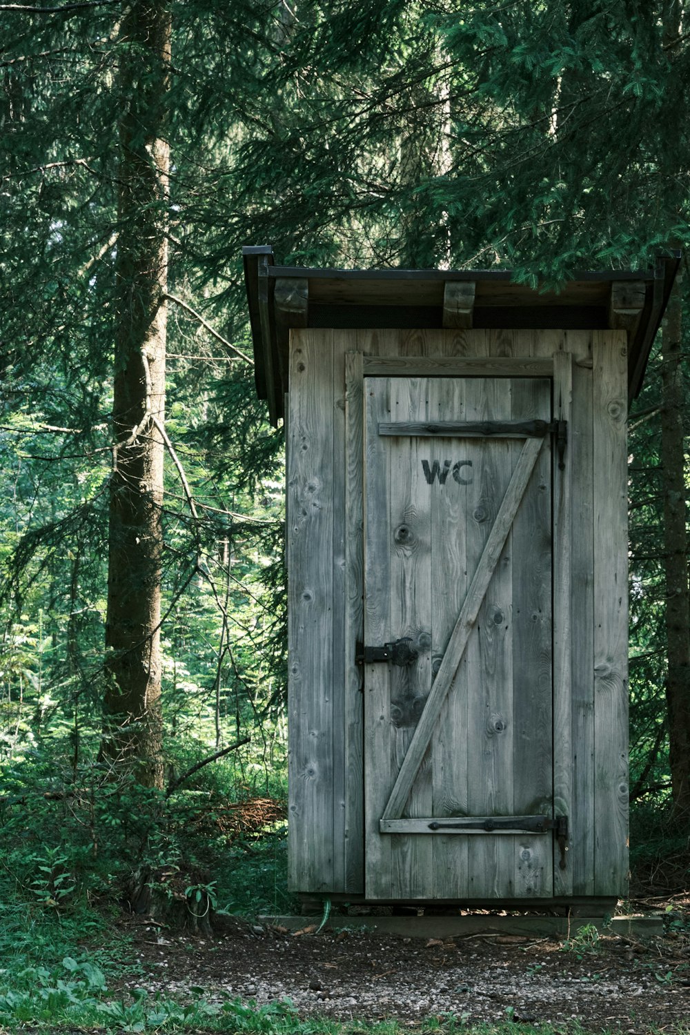 brown wooden door near green trees during daytime