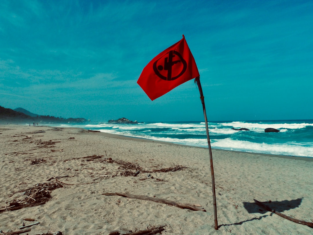 red and blue flag on beach shore during daytime