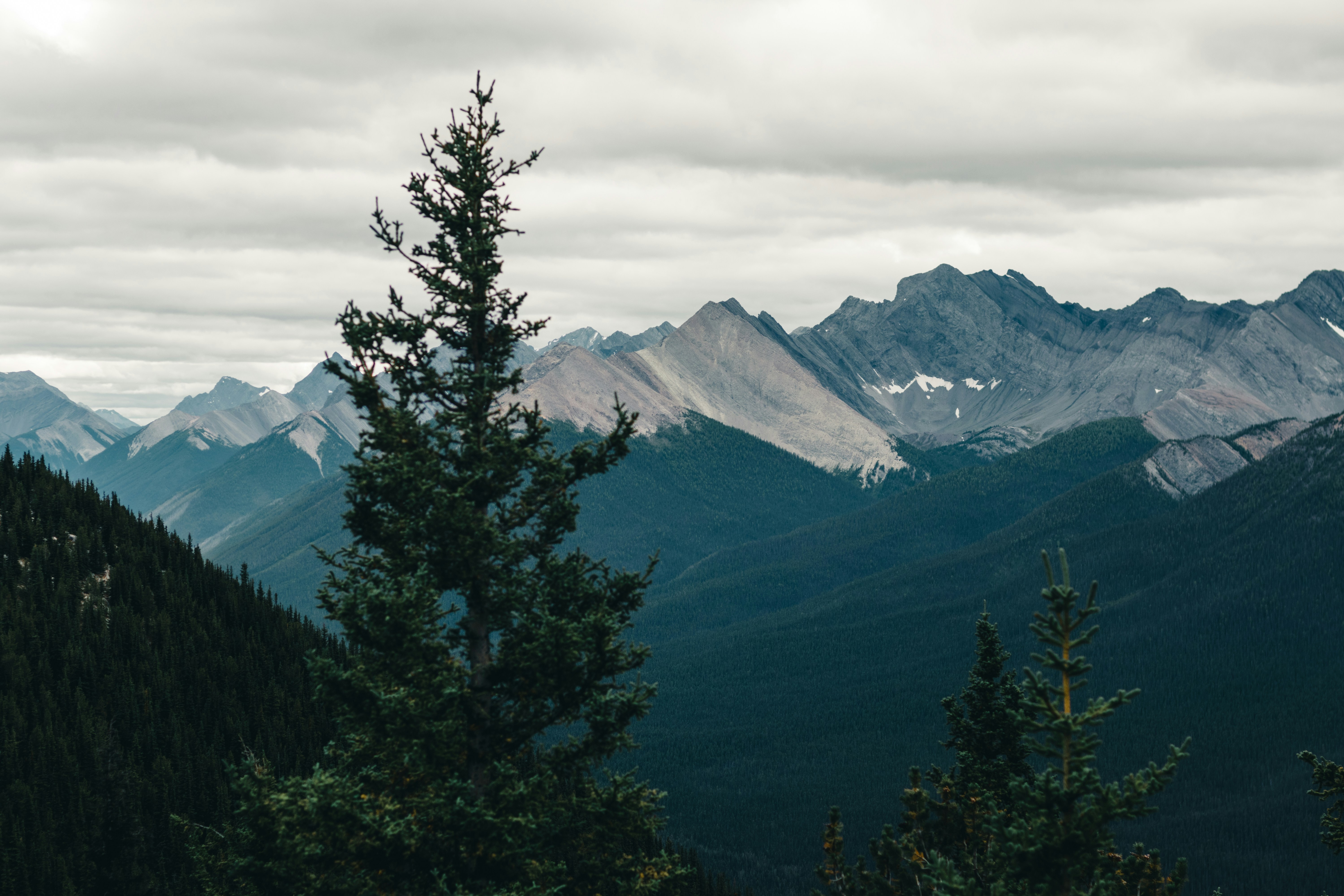 Photo by lureofadventure