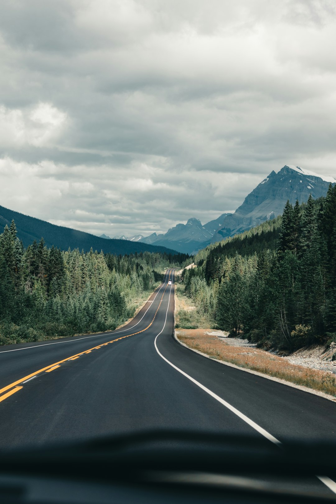 gray concrete road between green trees under white clouds and blue sky during daytime