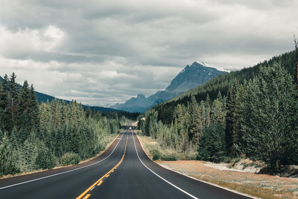 gray concrete road between green trees and mountains during daytime