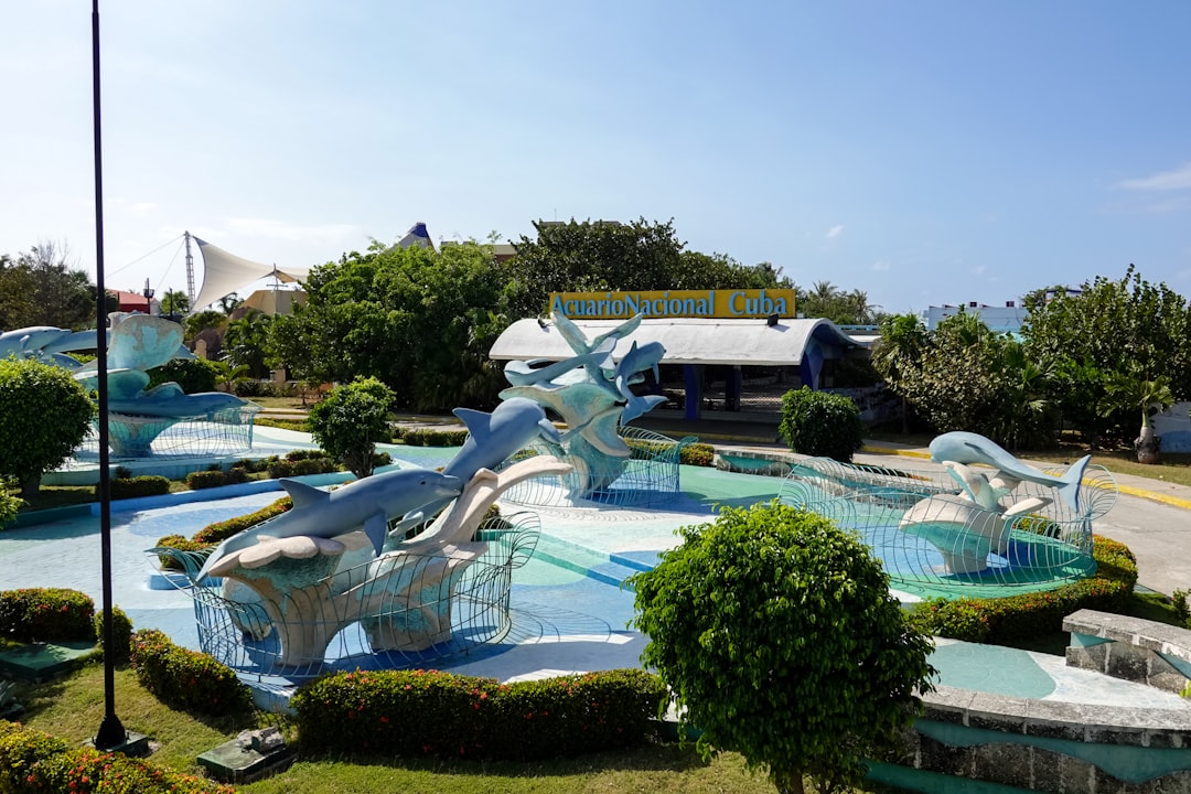 green trees near swimming pool during daytime