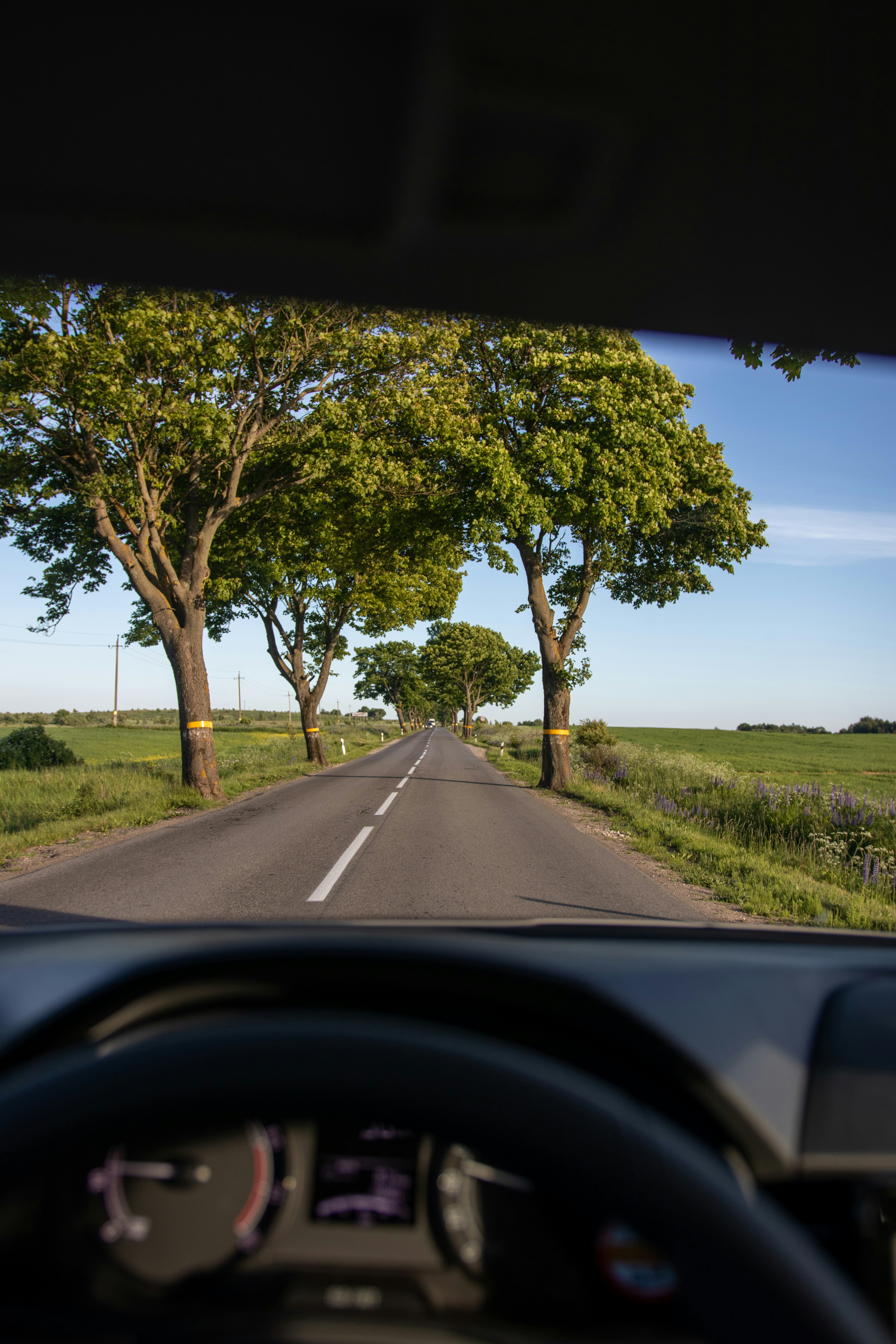 7 Daily Routines for Practicing Slow Sustainable Travel on the Road
