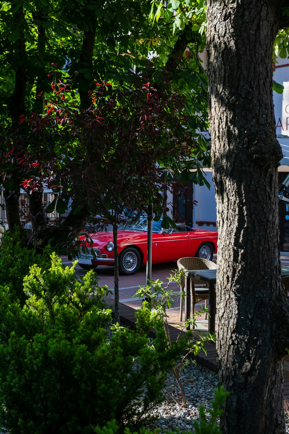 red sedan parked beside green tree during daytime