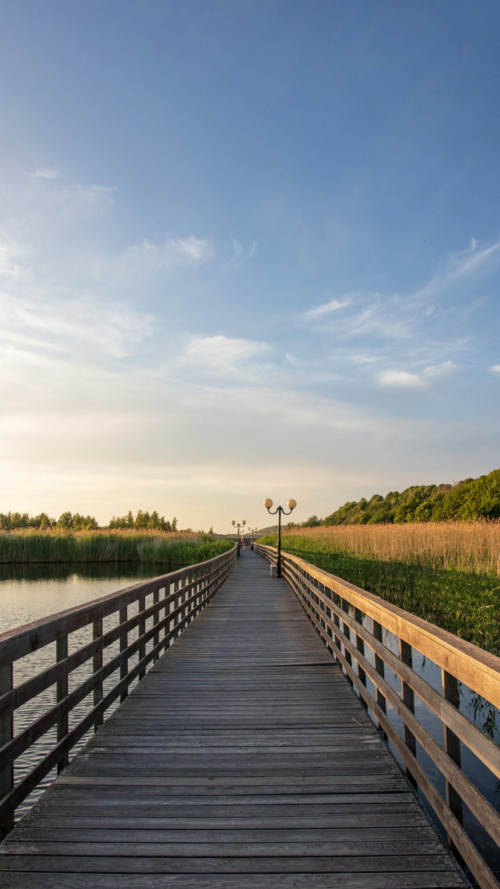 brown wooden bridge over river during daytime