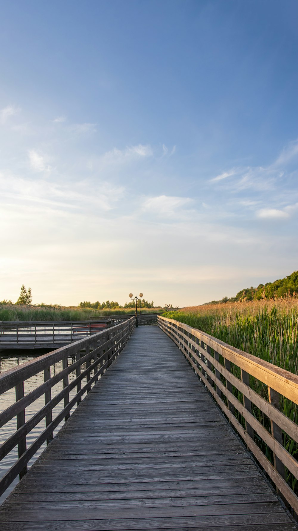 brown wooden bridge over green grass field during daytime