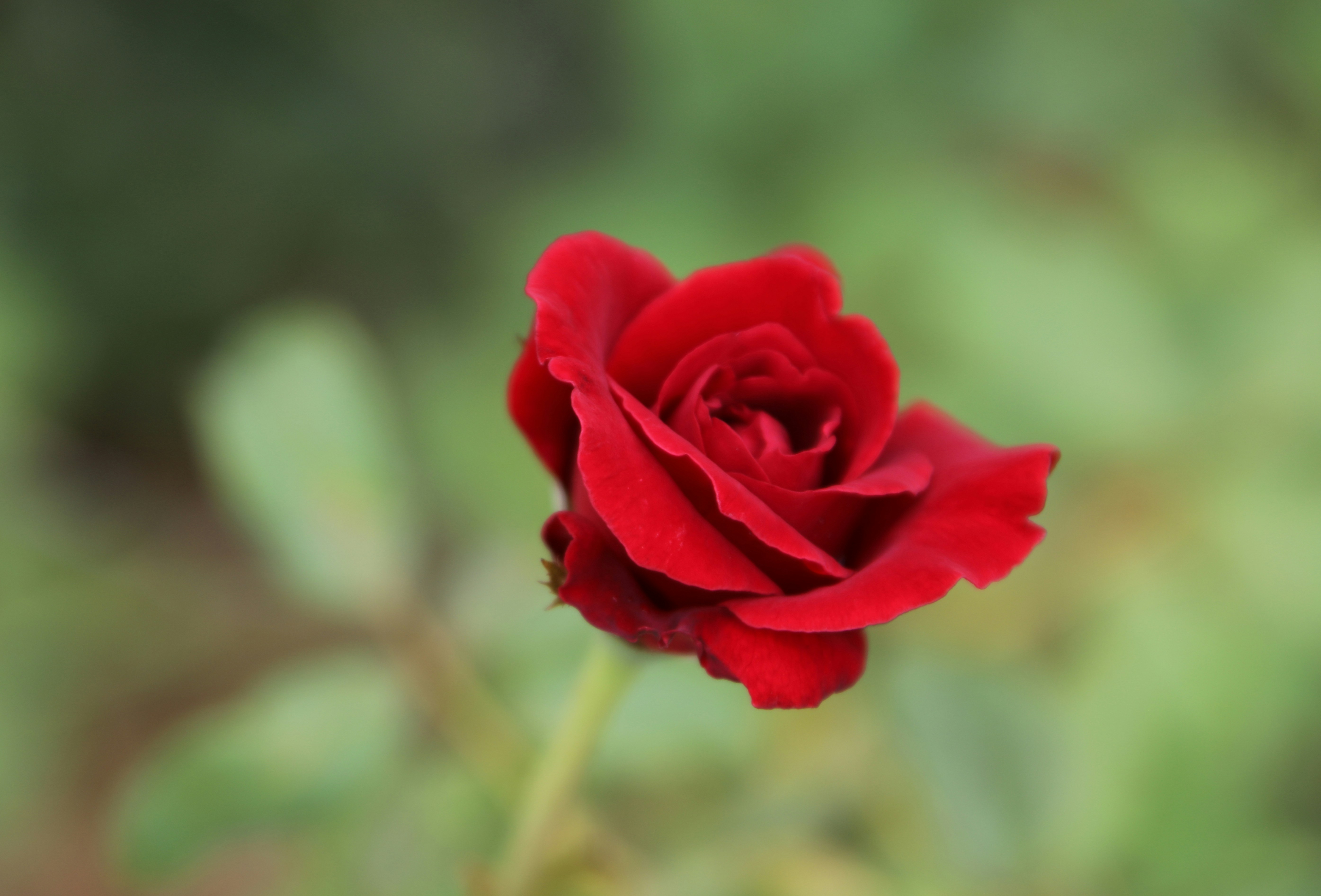 Photo by dpreacherdawn