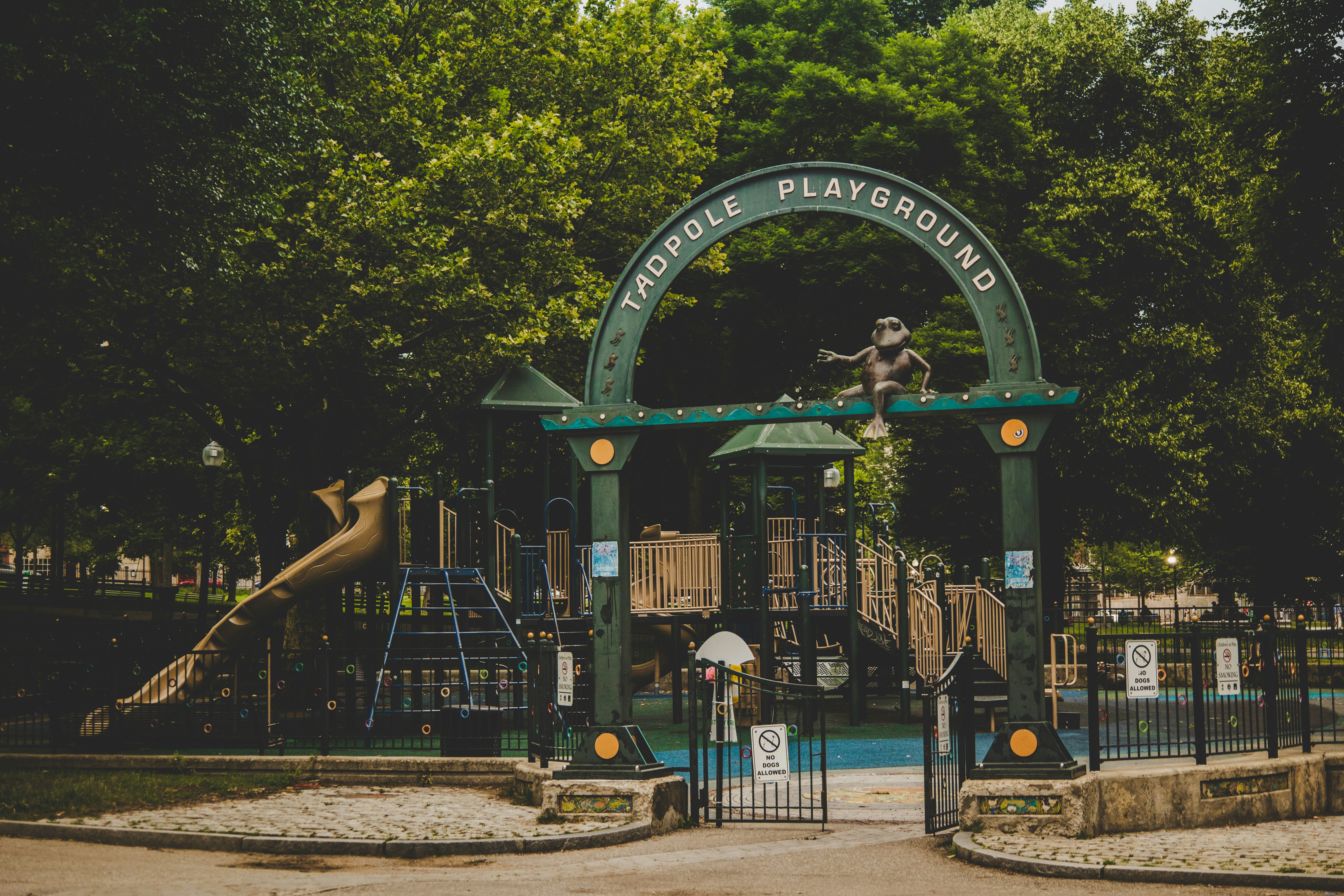 people walking on park with green and black roller coaster during daytime