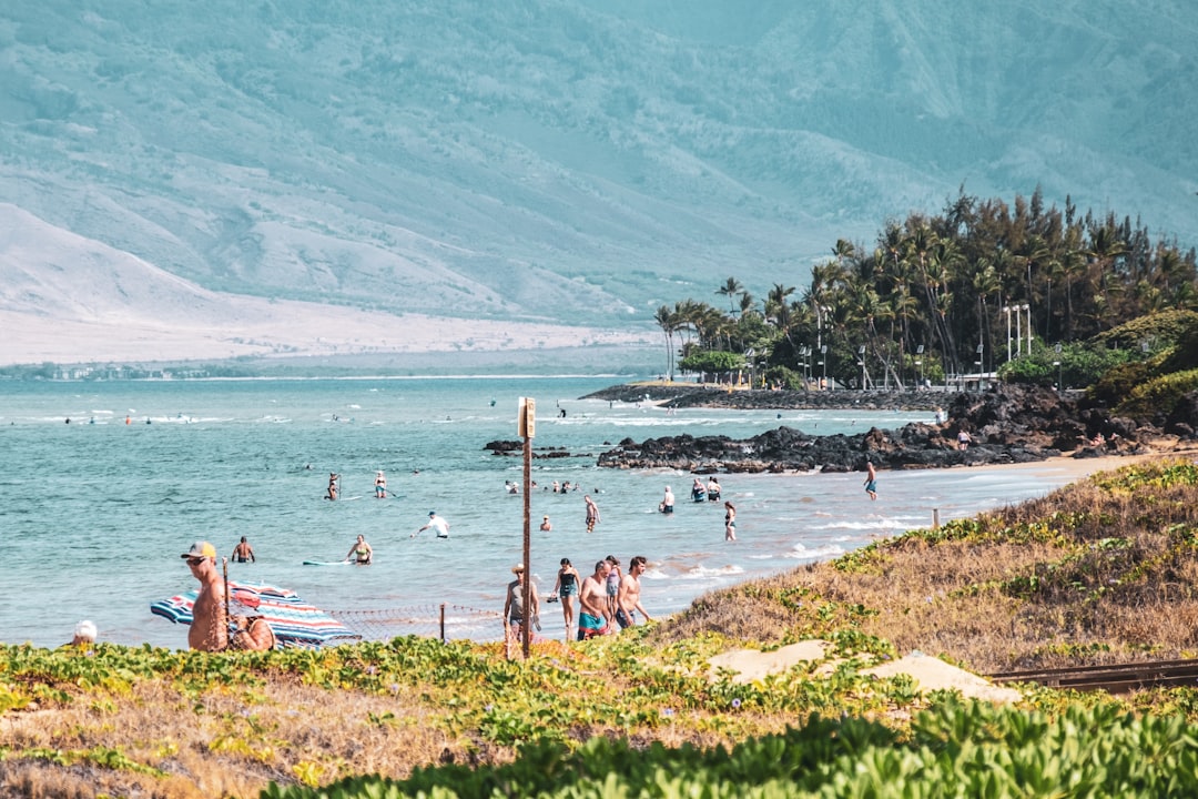 people on beach during daytime