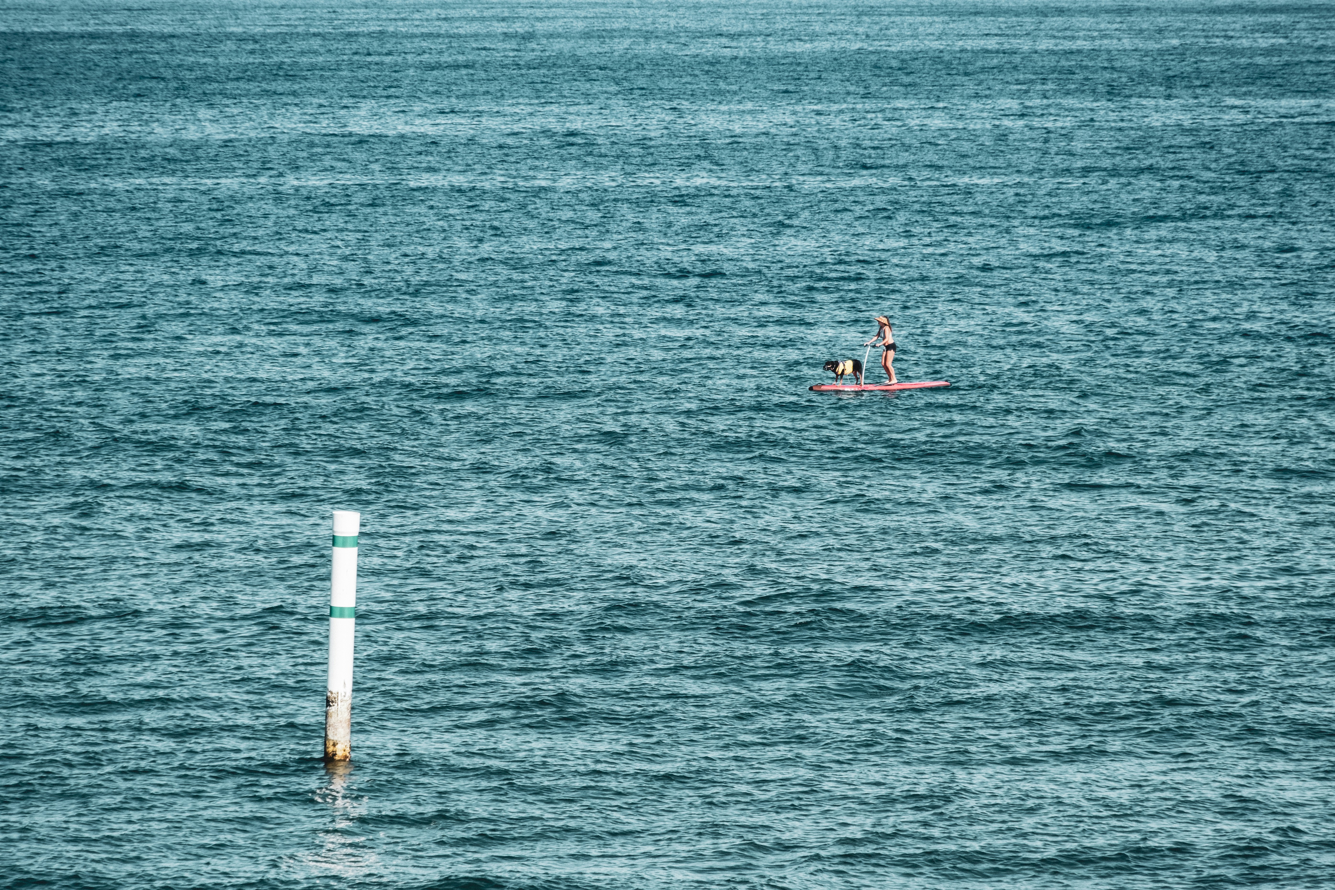 Photo by alanrodriguez