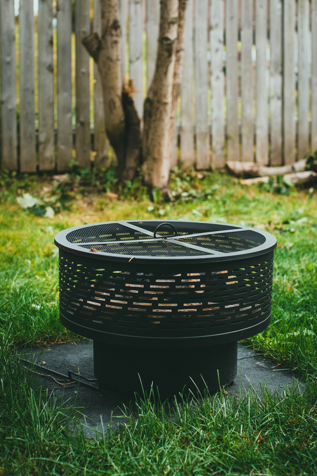 black round container on green grass