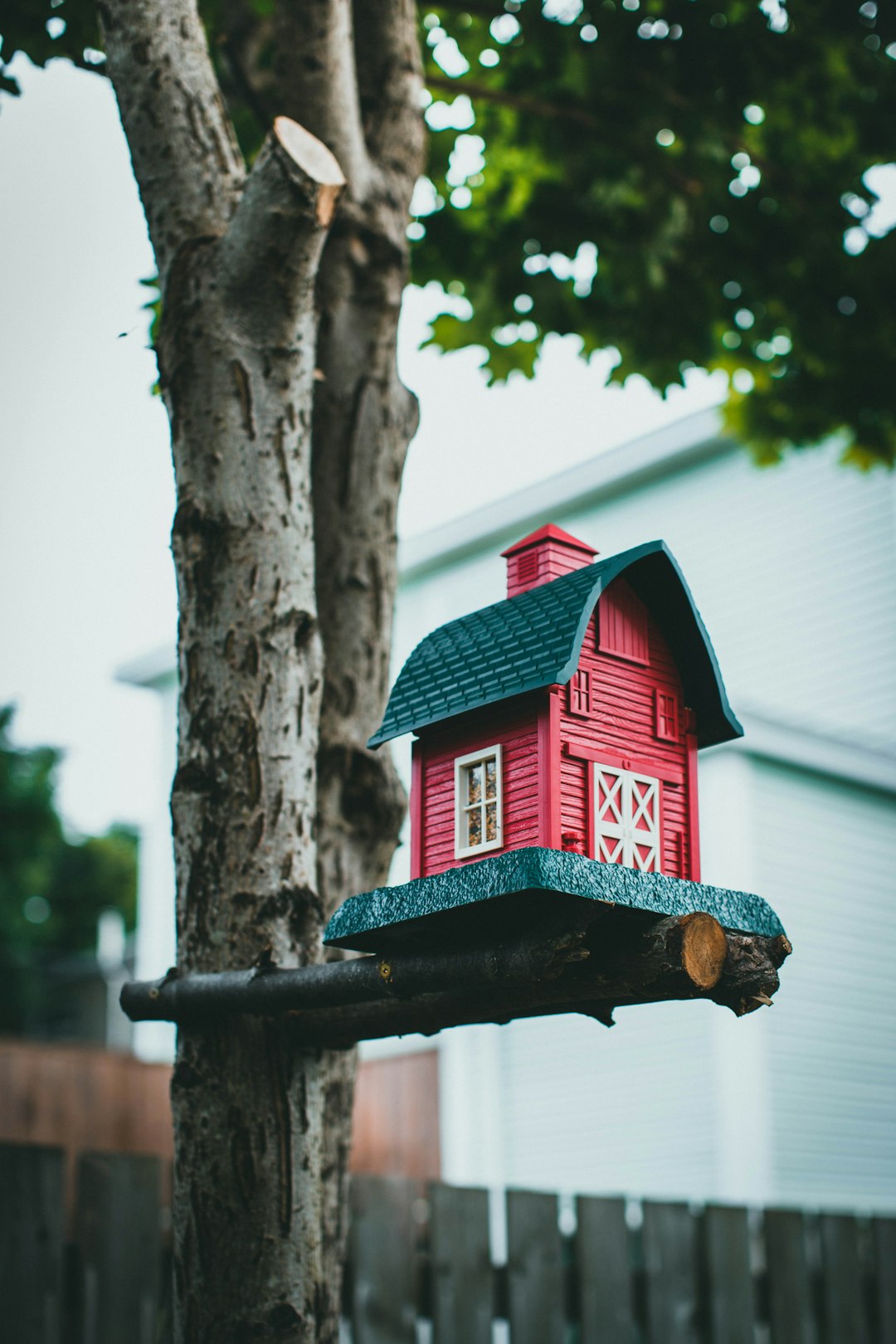 red and blue wooden bird house on tree branch during daytime