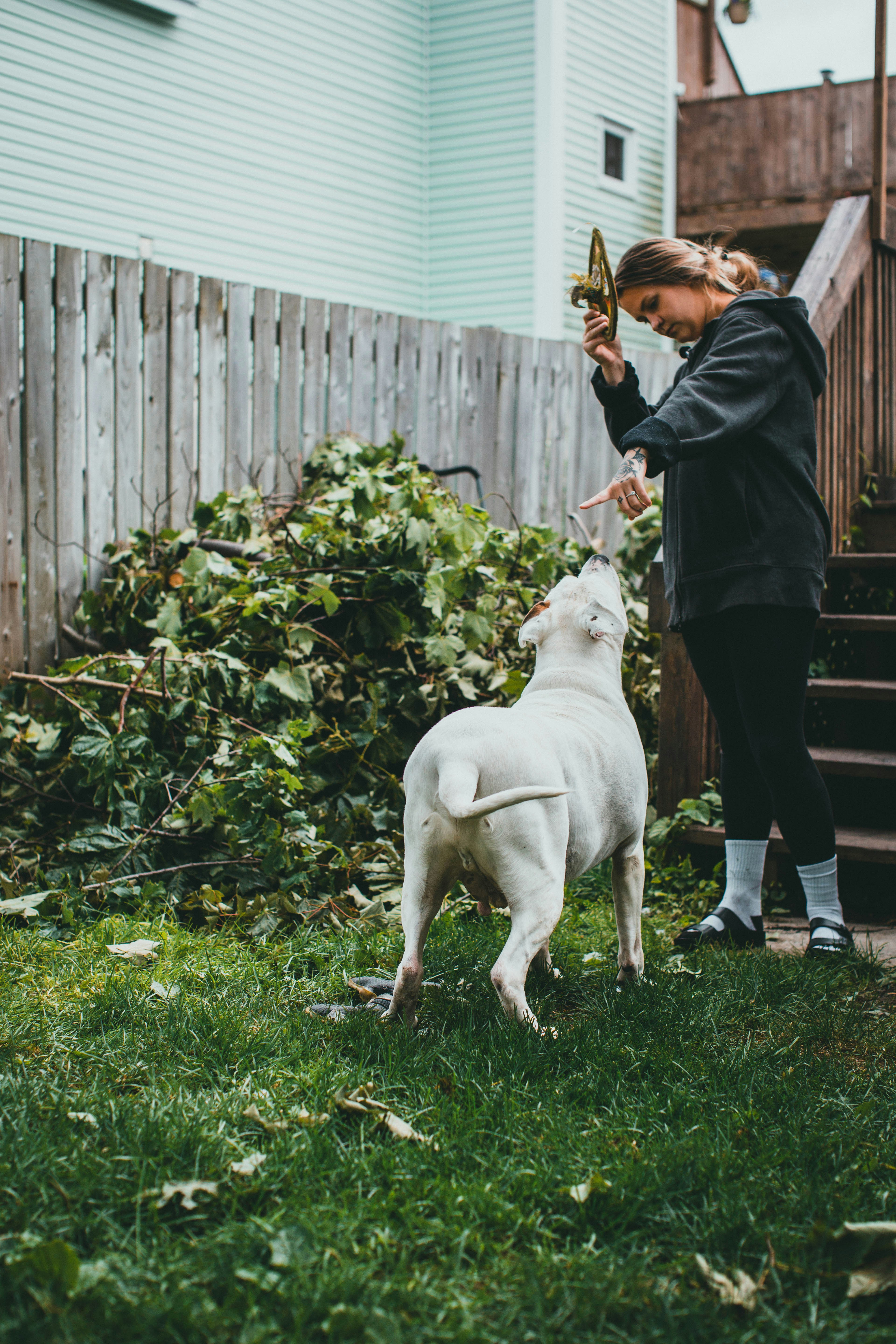 Photo by theshuttervision