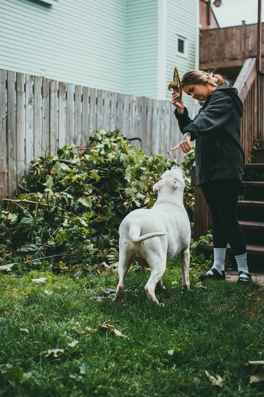 woman in black jacket standing beside white short coated dog