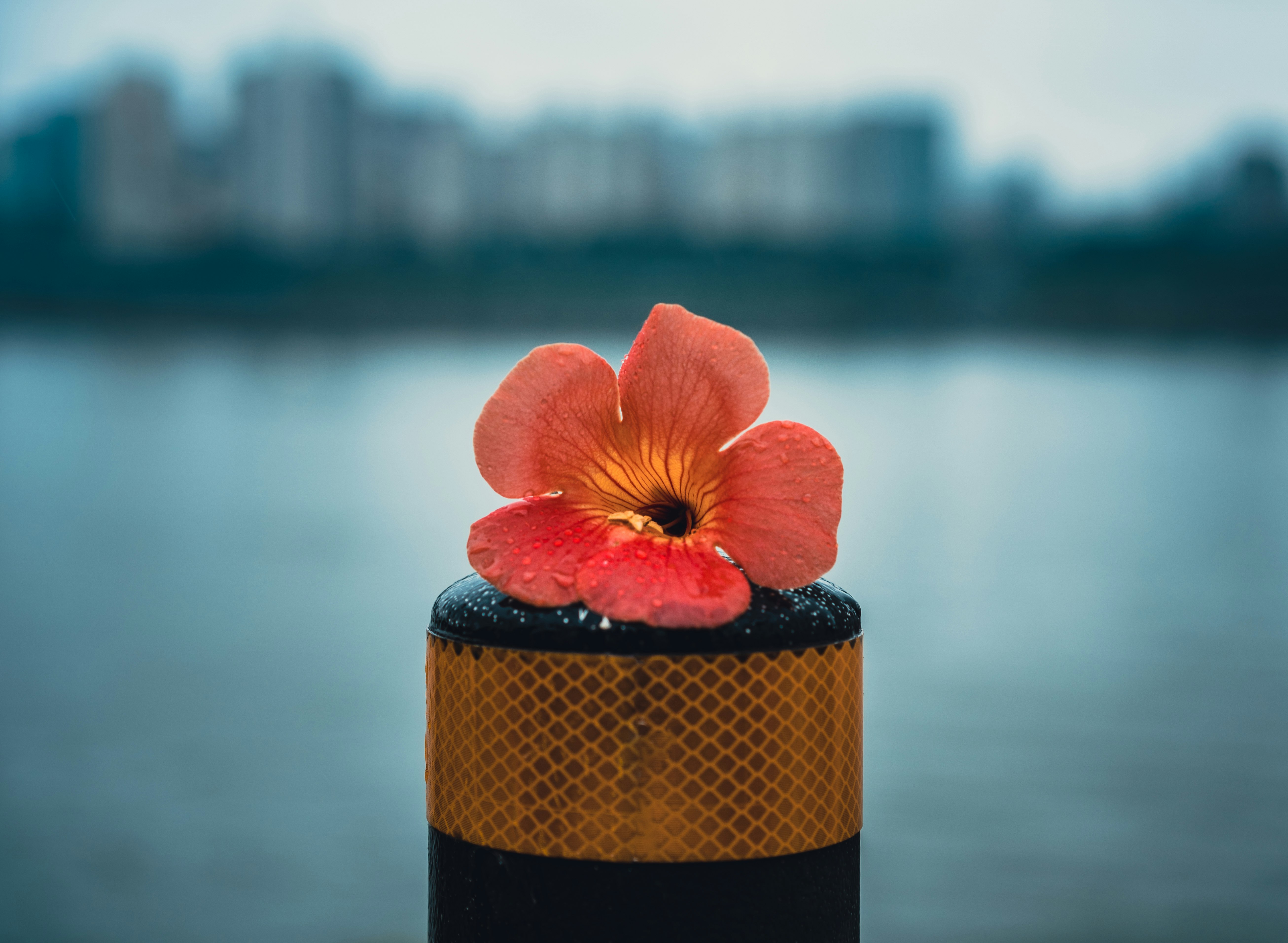 red flower on brown and black cylindrical container