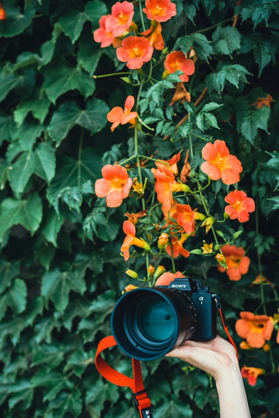 black nikon dslr camera on orange flower