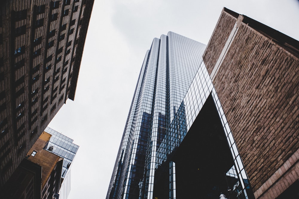 low angle photography of high rise building