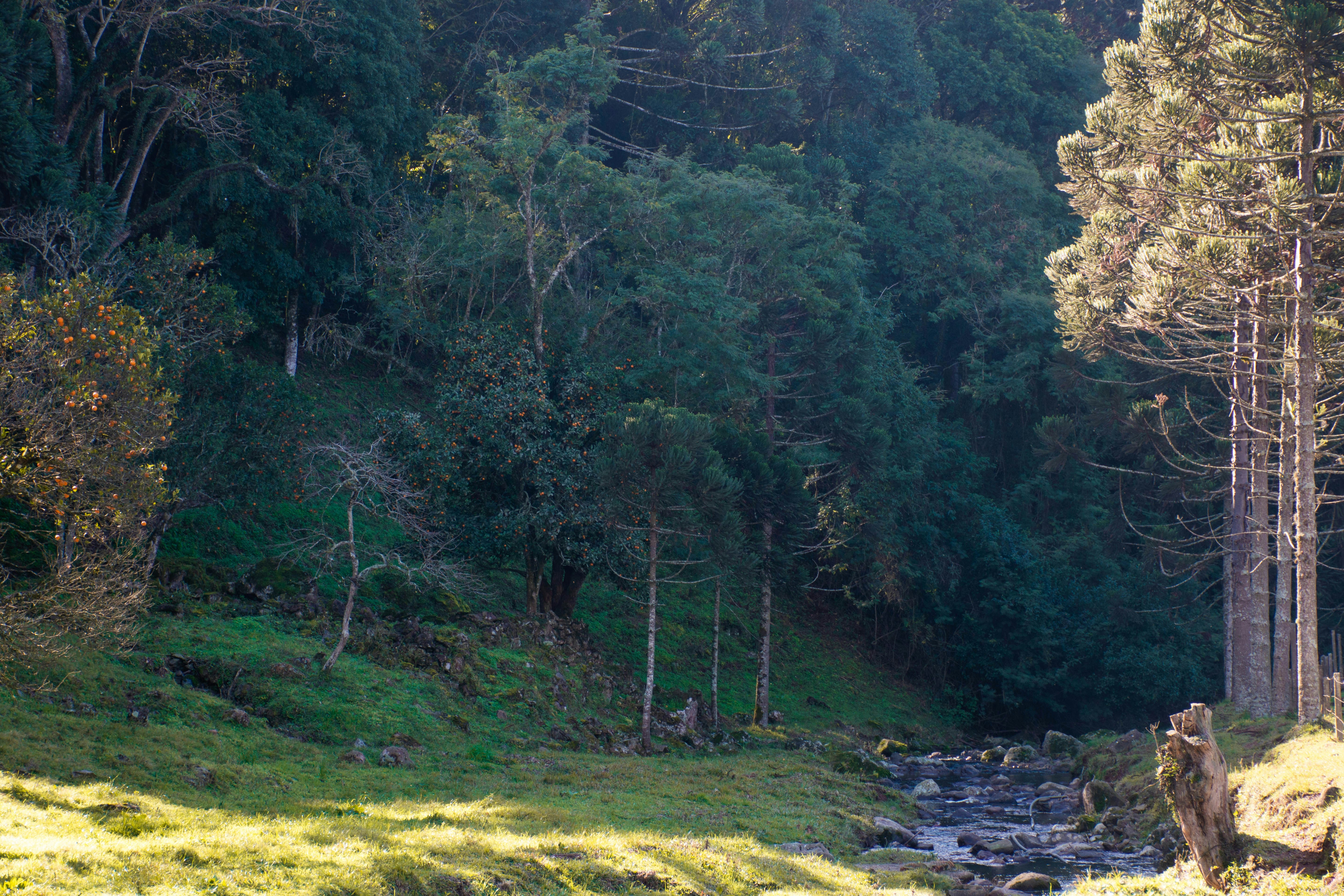 Photo by lucasgwendt