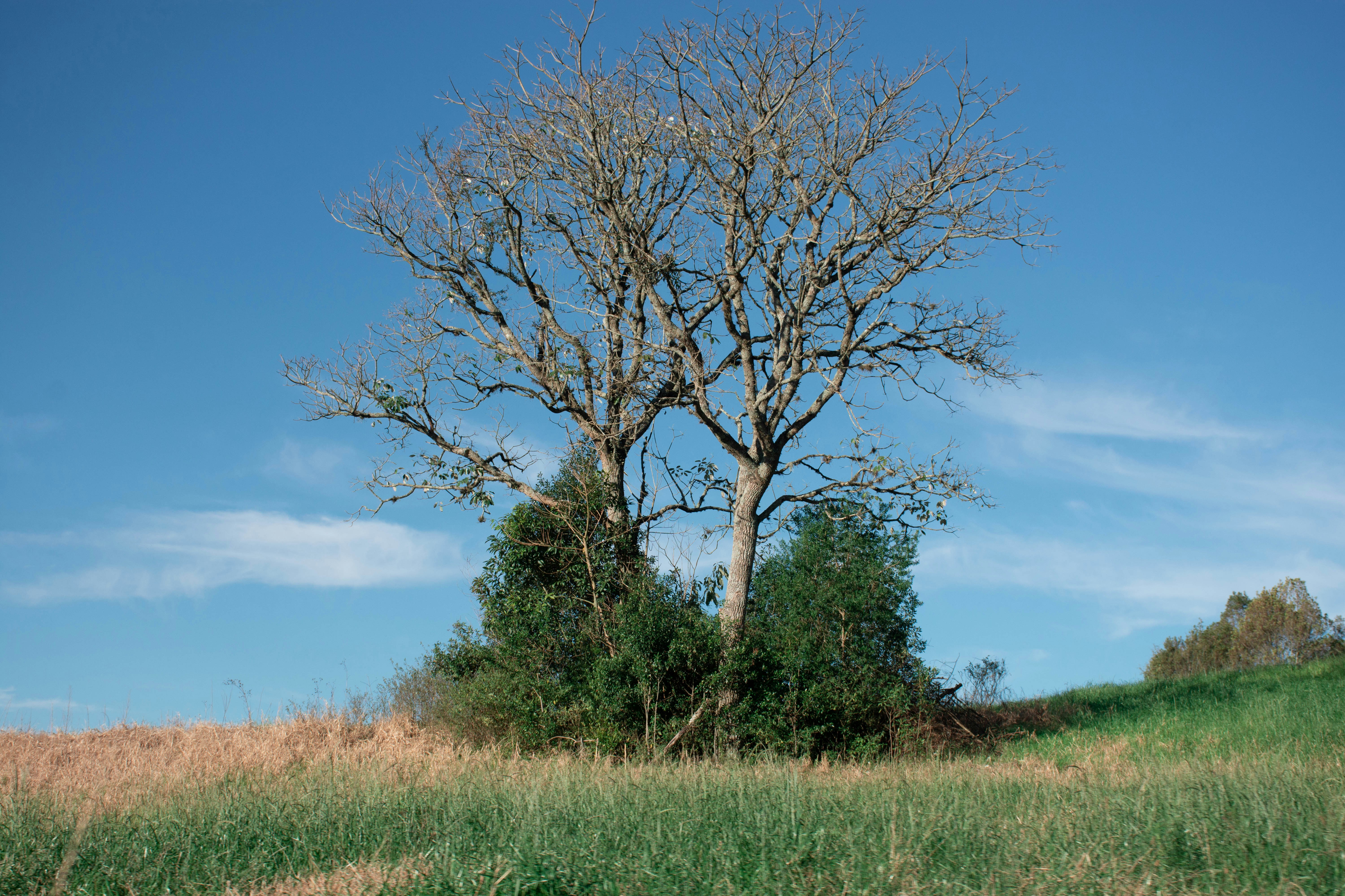 Photo by lucasgwendt