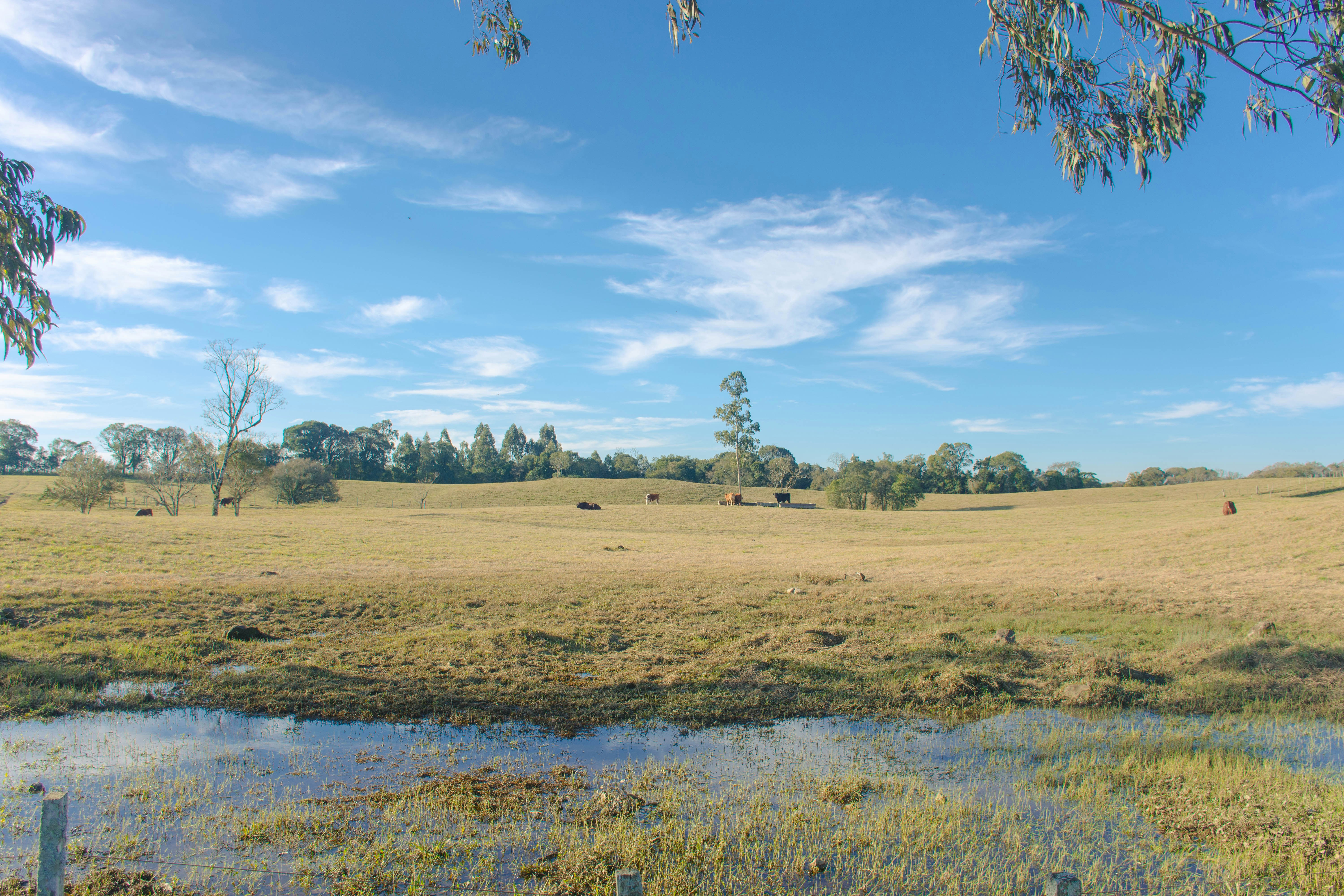 Photo by lucasgwendt