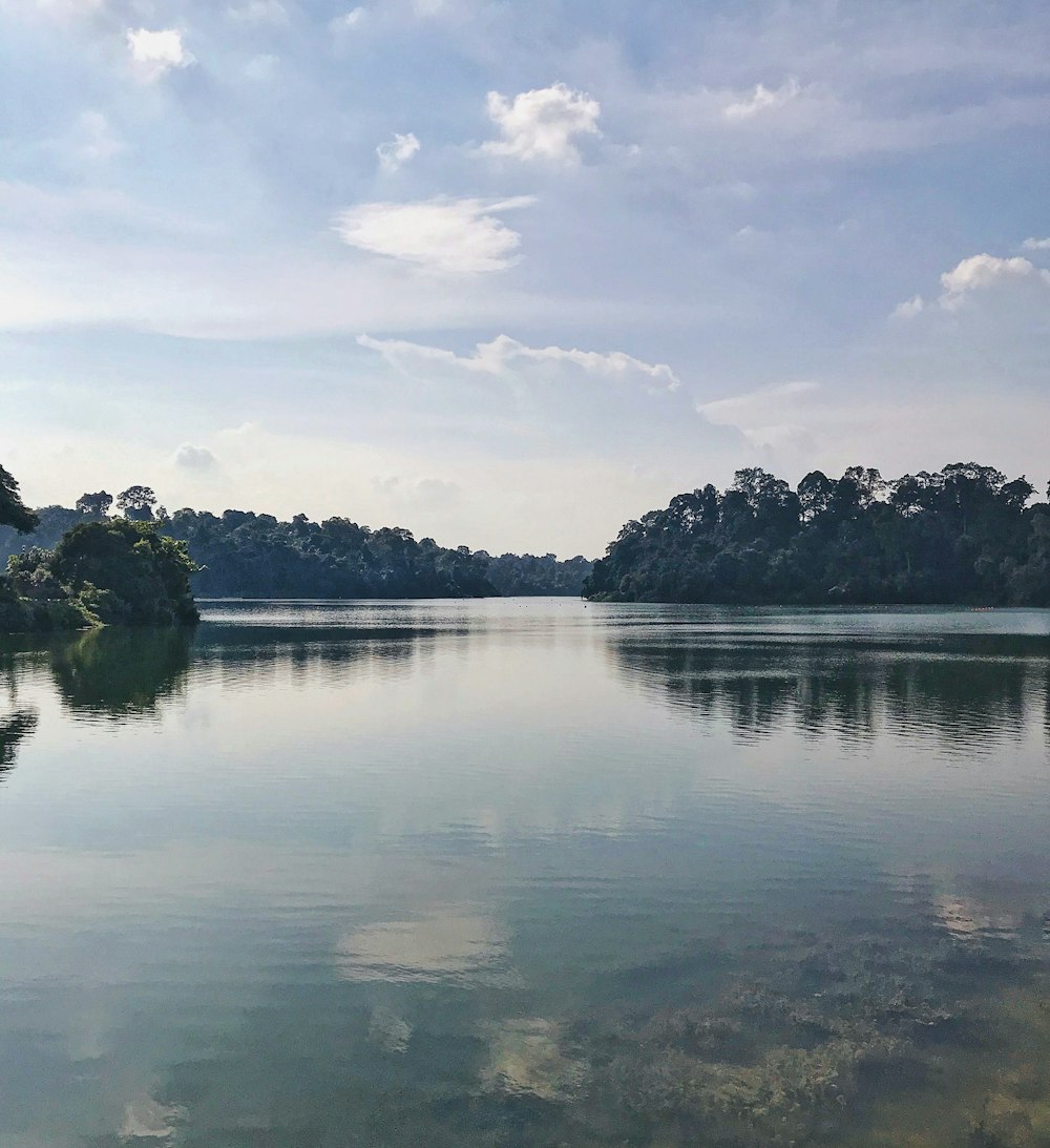 昼間の曇り空の下、湖畔の緑の木々