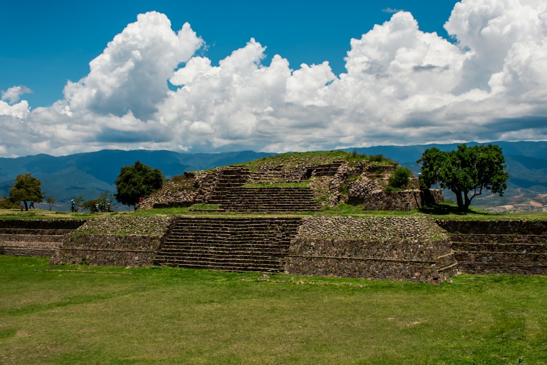 brown brick wall on green grass field under blue sky and white clouds during daytime