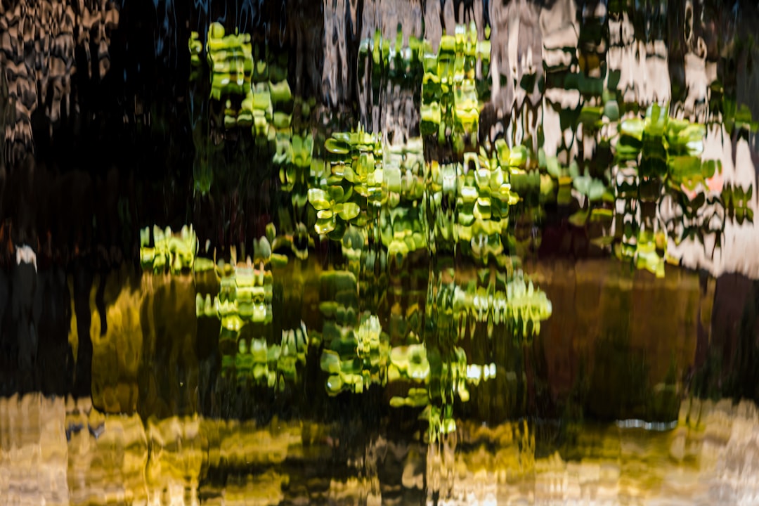 green water lilies on water