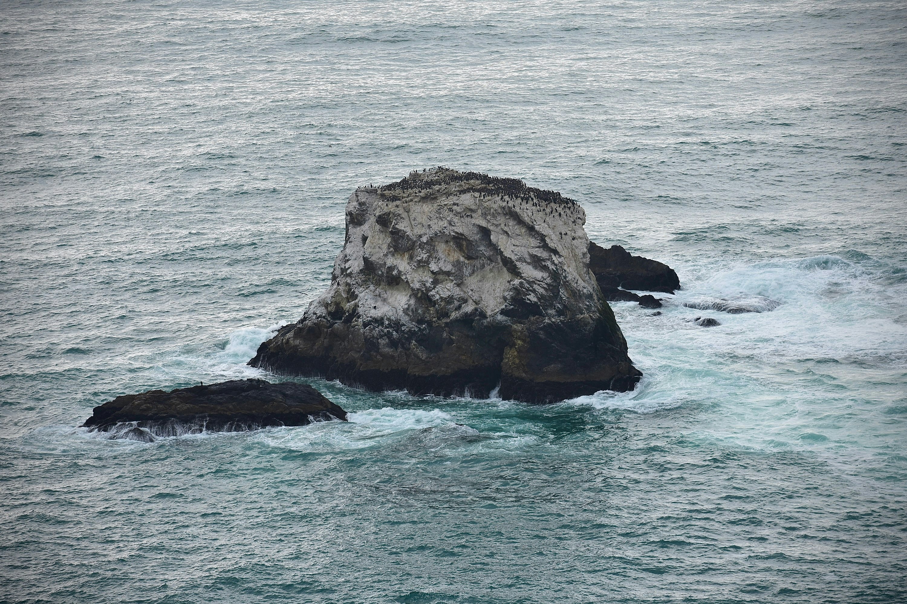 Photo by cristina_glebova