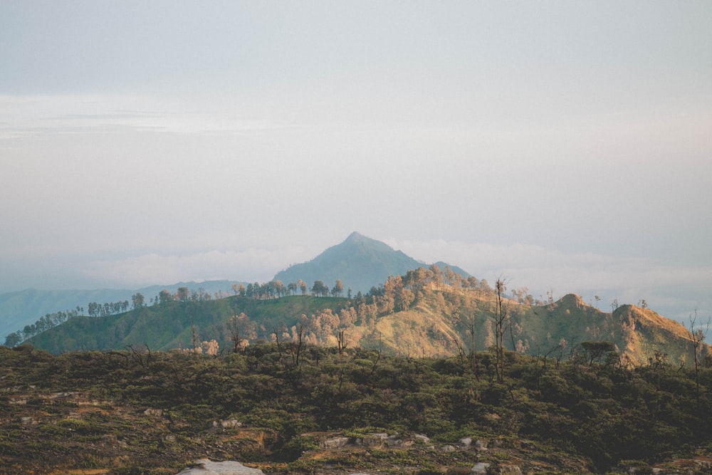 green trees on brown mountain under white sky during daytime