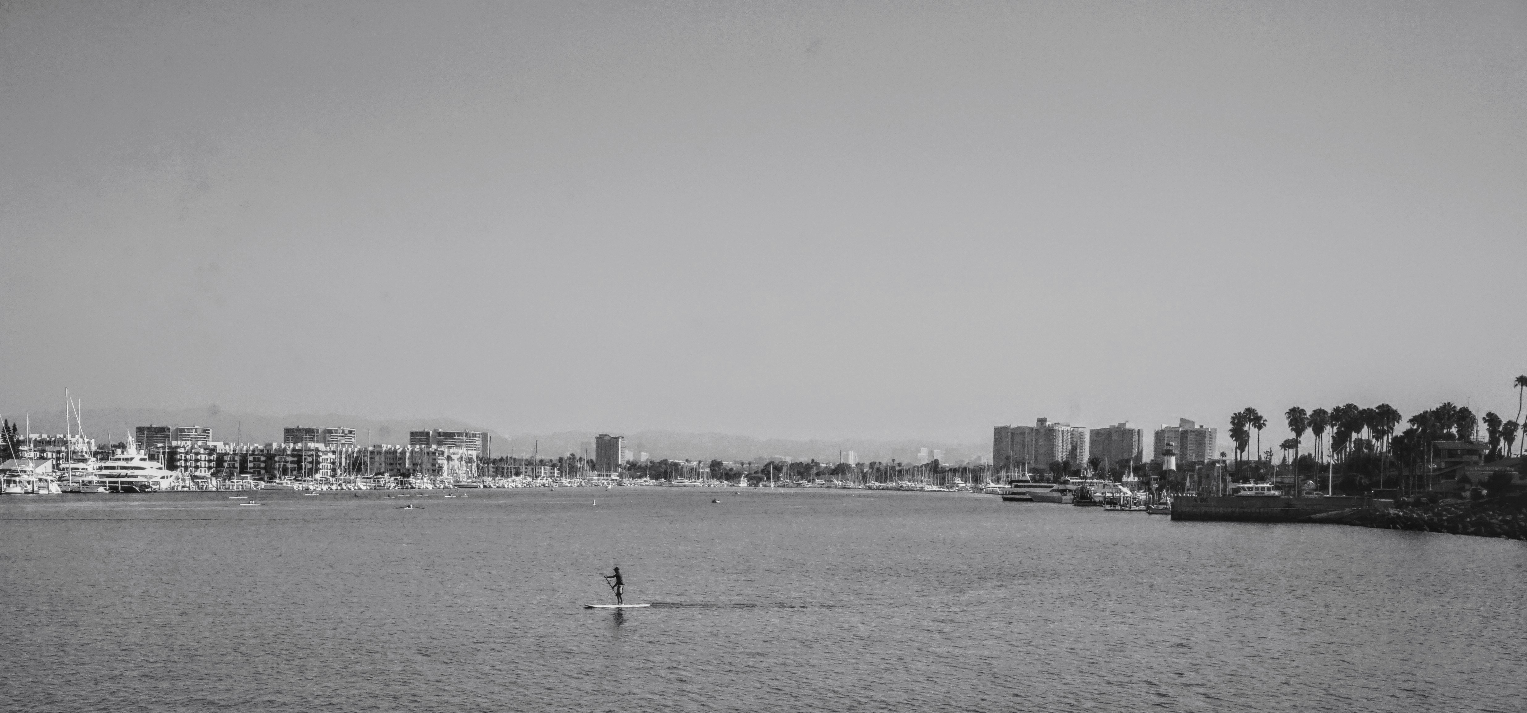 New Island Staten Island Menu