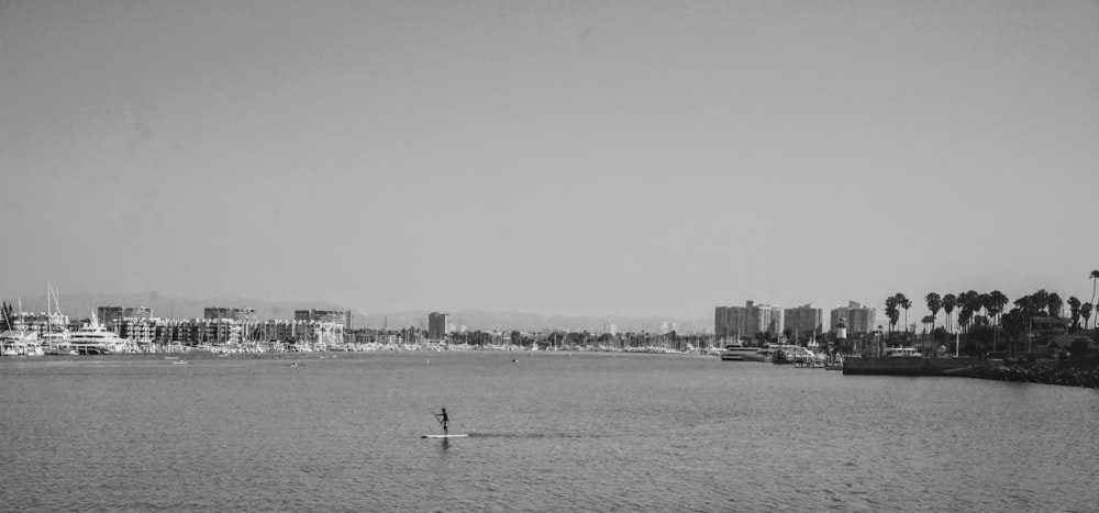 people on beach during daytime