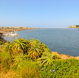 View of Saint-Cyprien port with boats docked during a sunny day.