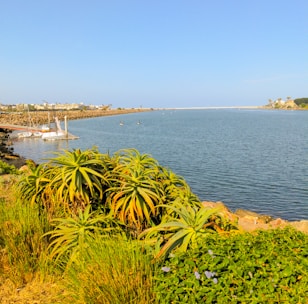 View of Saint-Cyprien port with boats docked during a sunny day.