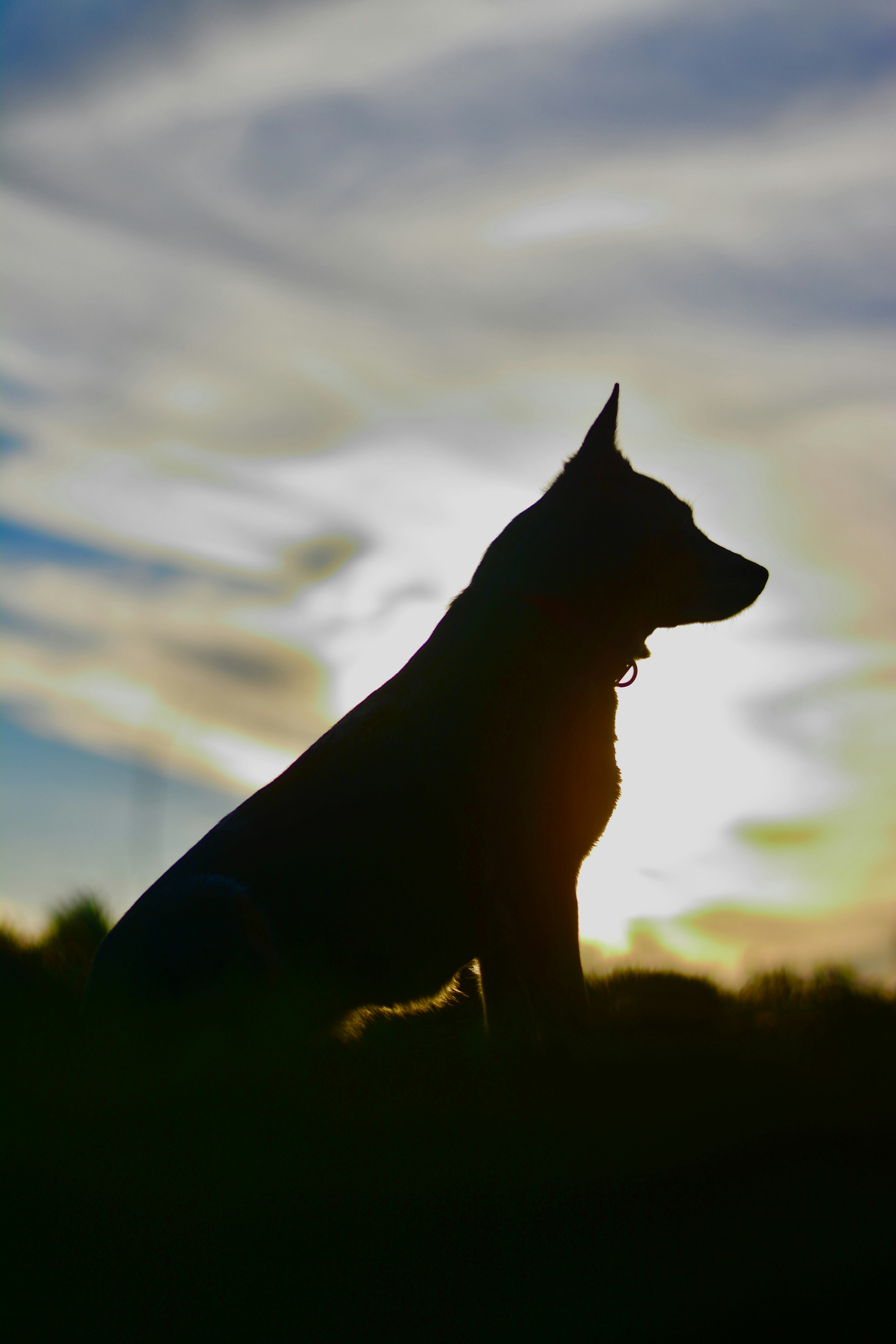 Photo by josephhershmedia1